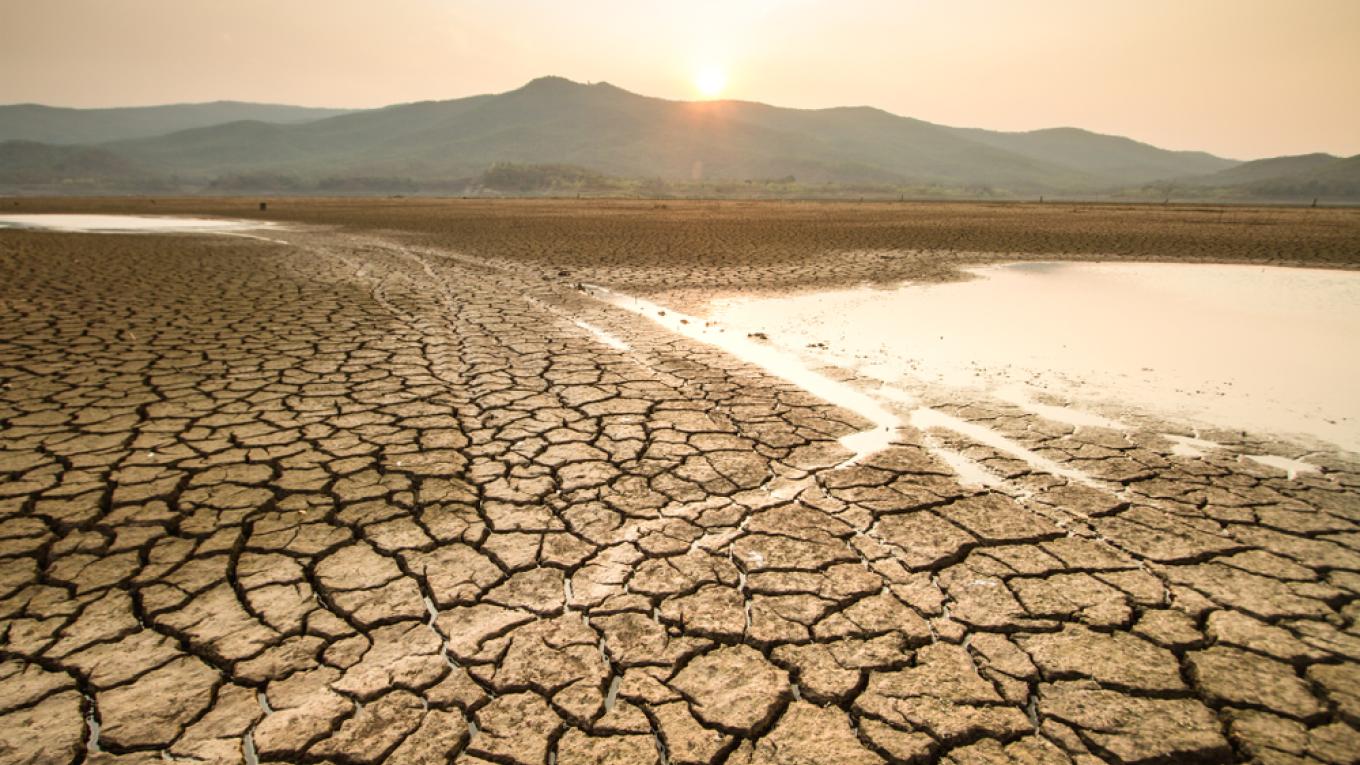 Salud y cambio climático 