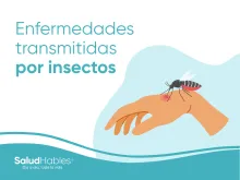 Enfermedades transmitidas por insectos