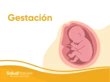 gestación