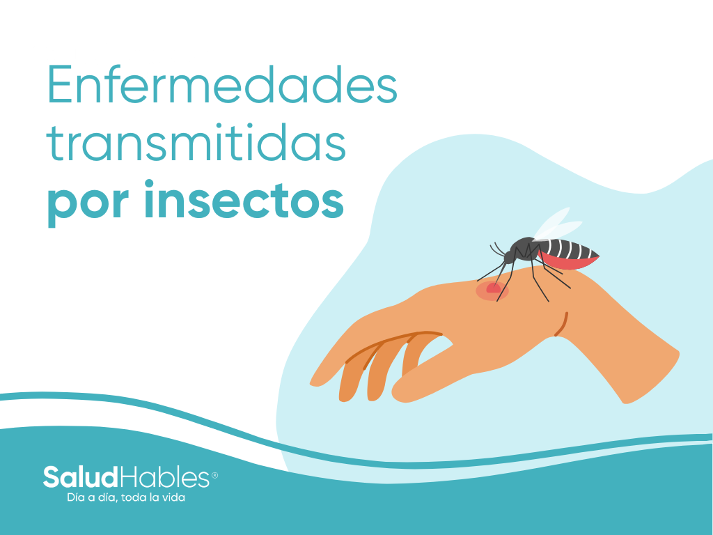 enfermedadestransmitidasporinsectos
