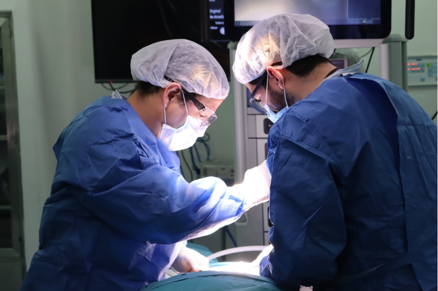 Cirugia robotica FSFB