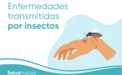 enfermedadestransmitidasporinsectos