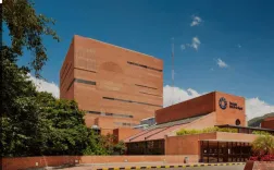 fundacion