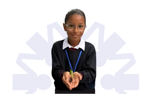bannercausas