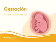 gestación