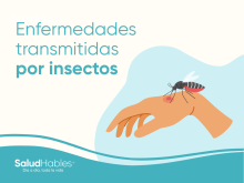 Enfermedades transmitidas por insectos