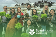 verdevida