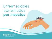 Enfermedades transmitidas por insectos