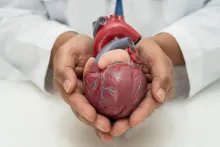 Modelo de gestión de riesgo cardiovascular
